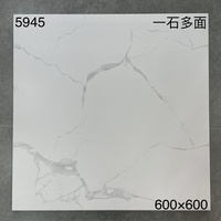 Carreaux de sol 60x60, céramique blanche Carrara mate, carreaux de sol rustiques, antibactériens, antidérapants, pour salle de bain, toilettes, hôpital, appartement
