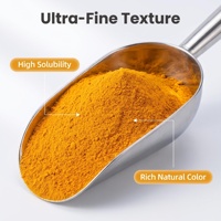 Poudre de Curcuma Premium en Gros pour Boissons, Smoothies, Thés, Préparations Lactées Dorées et Colorants Alimentaires Végétaliens