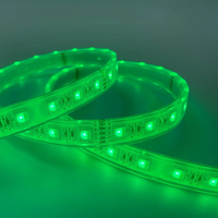 Bande lumineuse sous-marine pour piscine colorée DC12V/24V 5050 60LEDs 12mm 4 en 1 RGBW Epistar LED pour aménagement paysager