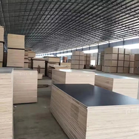 Para Capa Protectora de Película Fenólica Personalizada de 9-25 mm, Panel de Madera Contrachapada Recubierto de Película Directamente de Fábrica para Construcción Naval