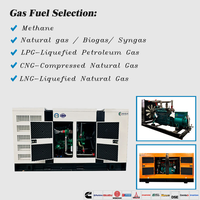 Générateur électrique silencieux triphasé 500KW 625KVA fabriqué en Chine, au gaz (GNC, GNL, GPL, Biogaz), à démarrage électrique, pour l'alimentation de secours des projets industriels et commerciaux