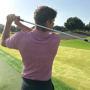 Camiseta Polo de Manga Corta para Hombre, Estilo Vintage, Verano, Nueva, de Algodón, Color Sólido, Larga, ODM, Seda, 100% Algodón - Product Image 2