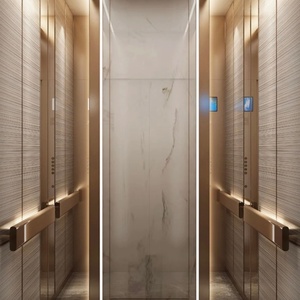 Ascenseur résidentiel économique FUJI pour 2 étages, 320 kg, 4 personnes, ascenseur domestique avec garantie de 15 ans, installation facile - Product Image 5