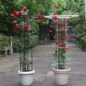 Enrejado de jardín de metal de Venta caliente para plantas trepadoras-Rose, <span class=keywords><strong>Plumbago</strong></span> Support - Product Image 2