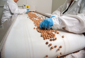 حزام ناقل سهل التنظيف أبيض للمخابز صغير آمن على الغذاء - Product Image 3