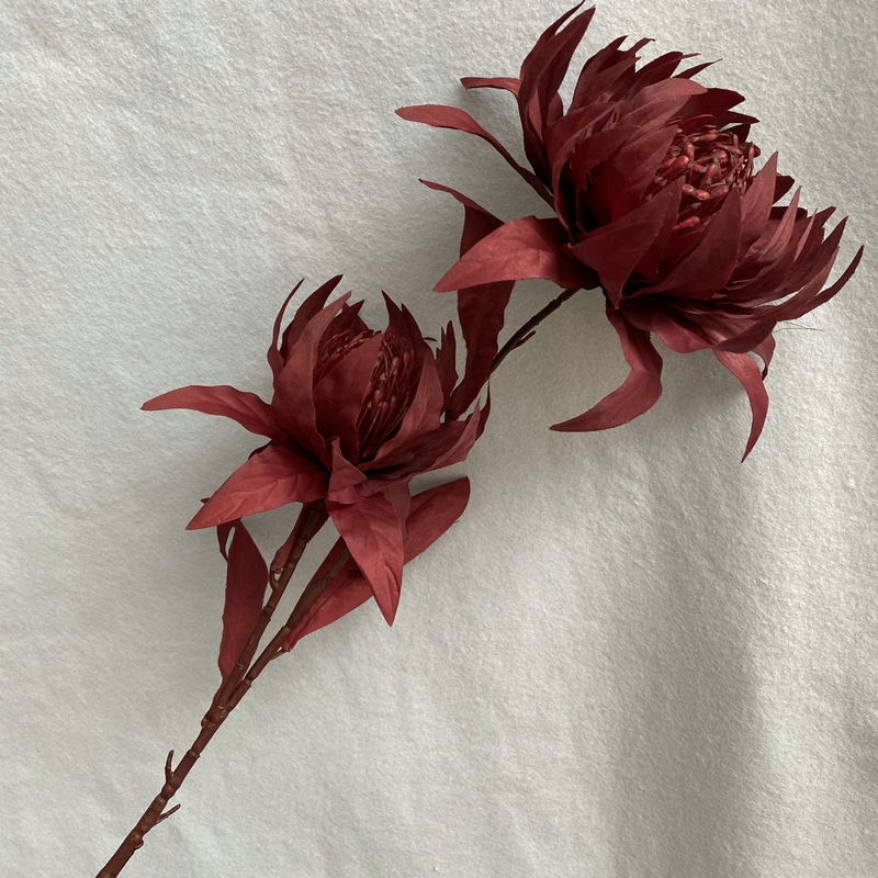 Rouge vif
