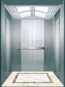 Ascensor Residencial de Lujo Otis, Precio de Fábrica, Moderno, 0.4m/s, Elevador Pequeño de Acero de Alta Resistencia, Diseño Seguro y Duradero - Product Image 3