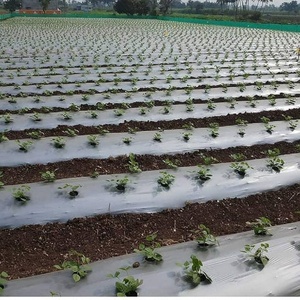 Plástico Agrícola Negro Plateado, Película <span class=keywords><strong>de</strong></span> Polietileno para Control <span class=keywords><strong>de</strong></span> Malezas - Product Image 4