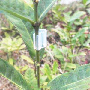 Pinces de greffage en silicone pour plantes de tomates, remplaçant les clips en plastique - Product Image 1