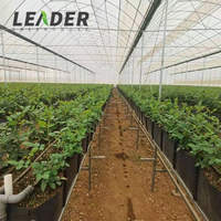 Serre agricole pour tomates 20x30 20x40 Noir Blanc PP Gouttière pliée Drainage en plastique Culture sans terre Cocopeat Bac de culture Gully