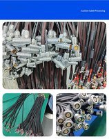 Connecteur d'aviation mâle/femelle auto-bloquant push-pull FGG+EGG avec câble 3p IP50 boîtier TPU