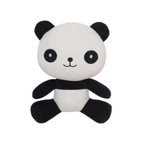 Peluche en forme de lapin tigre blanc à colorier avec des marqueurs lavables, jouet en peluche à peindre pour enfants, cadeau