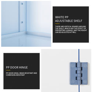 مختبر معدات بابين الطب خزانة مع ويندوز PP الطبية أثاث المعمل - Product Image 5