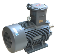 Moteur électrique asynchrone triphasé antidéflagrant SIEMENS série 1MT0003, 50Hz, IP55, isolation F, 55-315kW, IC411, vente chaude