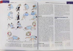 In ấn chuyên nghiệp <span class=keywords><strong>softcover</strong></span> nữ hộ sinh sản phẩm y tế in ấn cuốn sách - Product Image 4