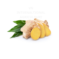 Nous sommes spécialisés dans l'exportation de 1 kg de gingembre et d'ail frais du Vietnam à des prix compétitifs.