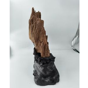 Jianfengling Wild Agarwood Feng Shui Ornament-Weelderig Bos (Uniek Stuk) - Product Image 2
