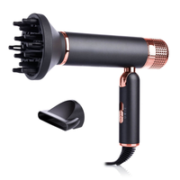 Usine directe en gros 2025 DC moteur sèche-cheveux nouveau coup personnalisé sèche-cheveux voyage ménage OEM avec concentrateur ion négatif