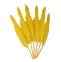 Plumes d'oie naturelles, 30 à 35 cm, pour décoration artisanale, accessoires de danse