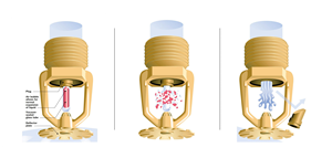 Rociador contra incendios exterior para protección contra incendios exteriores - Product Image 4