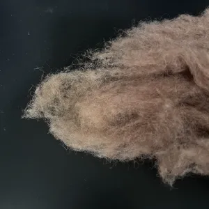 Alashan İç moğolistan 100% deve saç kumaş
