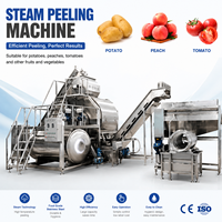 Automatische stoomschilmachine met grote capaciteit, roestvrij staal, fruit- en groenteschiller, CE-gecertificeerd