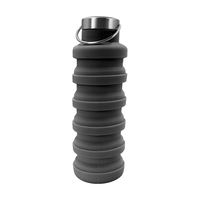 Bouteille d'eau pliable en silicone de qualité alimentaire 500 ml, portable, étanche, pour le cyclisme, la gym, le camping et les activités de plein air