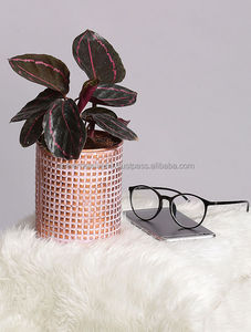 Elegante Juego de 4 macetas de metal chapadas en oro con soporte recubierto de negro Ideal para macetas de jardín interior y exterior - Product Image 5