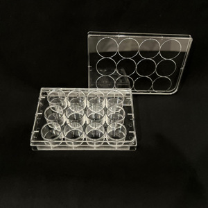 Steril Biyoteknoloji IVD Mikro Test Plakası Hücre ve Doku Kabı 48/96 Kuyulu Laboratuvar Hücre Kültürü Kuyu Plakası - Product Image 6