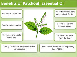 100% reines natürliches ätherisches Patch ouli öl Indonesien Süßes Körper haaröl Straffende pflegende Eigenschaften für den täglichen Gebrauch - Product Image 6