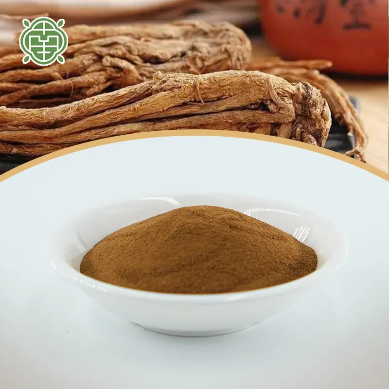 NQ Gesundheitsnahrungsergänzungsmittel Dong Quai angelica sinensis Extraktpulver Angelica Wurzel Extrakt für Tee