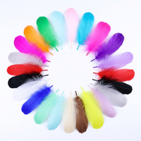 Plumes d'oie teintées pour artisanat, bricolage, stylos, coiffes, costumes, chapeaux, accessoires capillaires, carnaval, fête, mariage, décoration de Noël