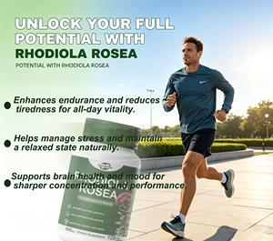Capsules de Rhodiola Rosea OEM 500mg, 3% Salidrosides, 1% Rosavines, Complément Adaptogène pour l'Énergie et le Soutien Anti-Stress, 120 Capsules Végétales - Product Image 4