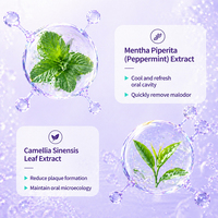 Enjuague Bucal Purple Mint OEM, Antifúngico, Blanqueador Dental, Tamaño Viaje, Elimina Manchas