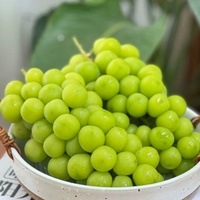 Premium Export Groene Druiven Hoge Suikergehalte Grote Bes 12g Vers Fruit Zonneschijn Roos Druiven voor Supermarkt