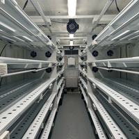 Chambre de culture de champignons à température et humidité constantes, conteneur de culture de champignons