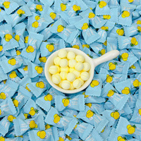 Bonbons ananas menthe faibles en calories et sans sucre, saveur fruitée, sachet de 200g, collation saine pour le bureau et le partage