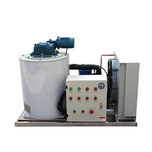 300kg/24h Automatic Small Industrial Flake Ice Maker Machine For Fishery Meat