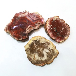 Vente en gros de bois pétrifié naturel, bois poli, fossile, dalle, pierre brute, tranche, spécimen, décoration, artisanat, pièce de bois pétrifié - Product Image 1