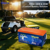 Batterie LiFePO4 Haute Capacité 25.6V 100AH Grade A 6K Cycles pour Chariot de Golf avec BMS Intelligent RS485 Prise Anderson CE RoHS IP67 Service OEM ODM