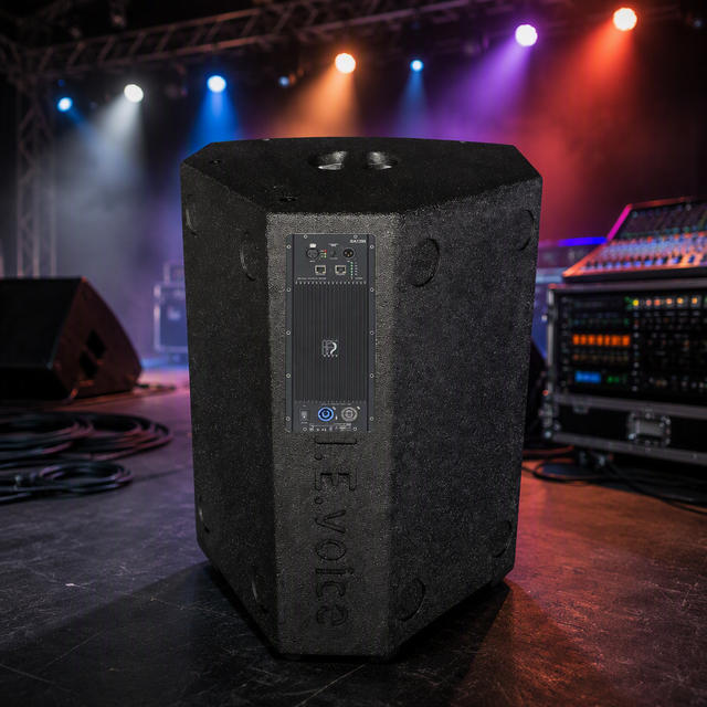 15-Inch Professional Active Coaxial Stage Monitor Speaker High-Power 2-Way Active Floor Wedge for Live Performance Use OEM/ODM