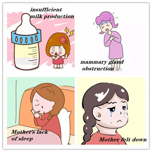 Bevanda quotidiana per aumentare la lattazione materna con tisana biologica fresca in bustine di tè in scatola - Product Image 2