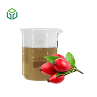 Échantillon Gratuit : Poudre d'Extrait Herbal de Rose Musquée de Qualité Alimentaire à Haute Teneur en Vitamine C en Bouteille
