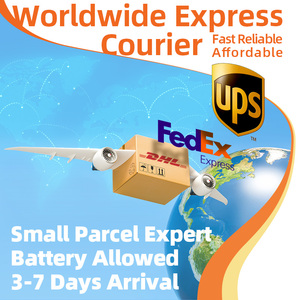 Ddp đại lý vận chuyển biển/vận tải hàng không giao nhận giá rẻ nhất Trung Quốc đến Mỹ Canada saudi arabia lcl + Thể hiện các trang web mua sắm quốc tế - Product Image 3