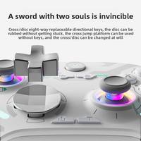 Manette de jeu AOLION NEW Switch2, éclairée, double vibration, joystick 2.4G, programmation macro, déclencheur, gyroscope six axes