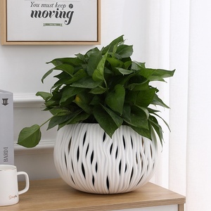 Vaso da fiori appeso in plastica Rattan vuoto cesto appeso zucca addensata bellezza orchidea verde aneto edera pianta verde a tenuta stagna - Product Image 3