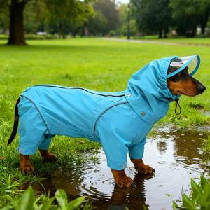 Jaqueta para Cães Designer 2025 à Venda por Atacado, Impermeável, Material de Poliéster e Algodão - Product Image 4
