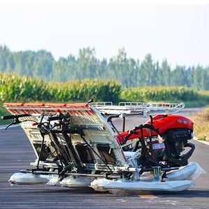 Di alta qualità <span class=keywords><strong>4</strong></span> fila di riso trapiantatore con motore e cambio macchina di trapianto efficiente - Product Image 5