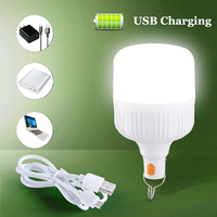 Ampoules LED rechargeables USB pour l'extérieur, lumière d'urgence, lampes de Camping portables