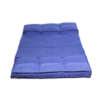 Canapé-lit moderne pliable en tissu, dossier réglable, confortable, soutien dorsal, polyvalent pour salon et chambre